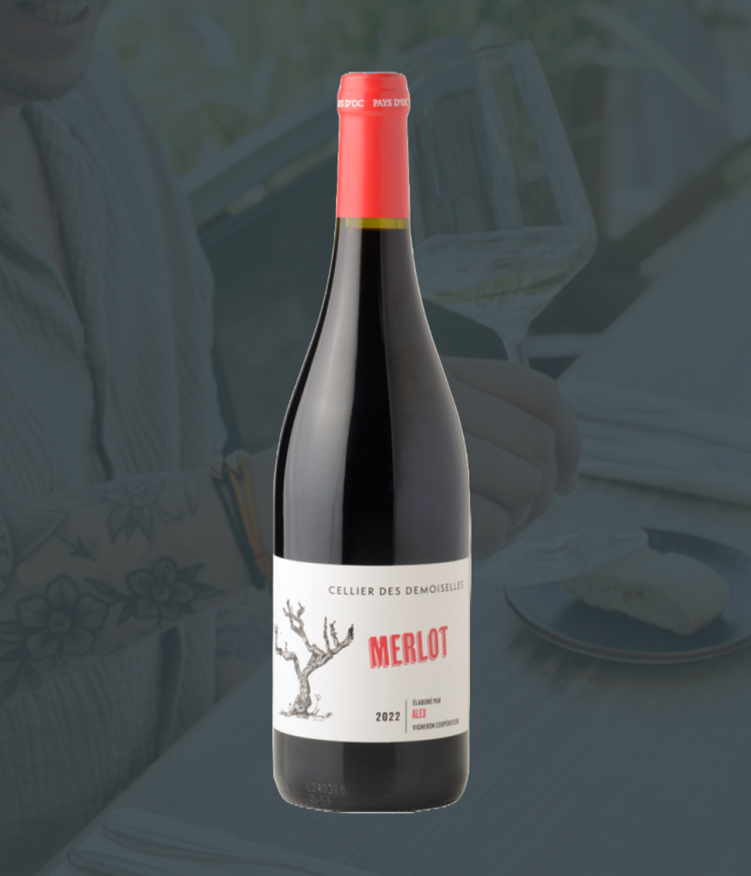 CELLIER - MERLOT